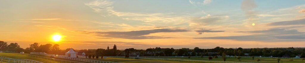Afternoon Racing